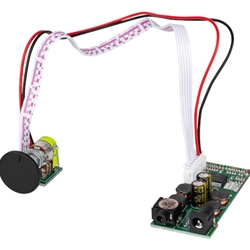 DTA-2 Class D Digital Audio Amplifier Module